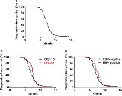 The full management from first-line to third-line treatments in patients with Her-2–negative advanced gastric cancer